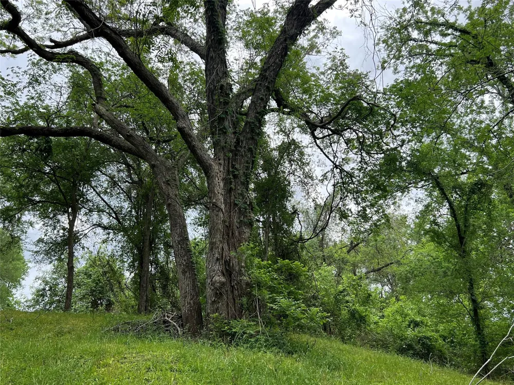 River Valley Drive Wharton, TX 77488