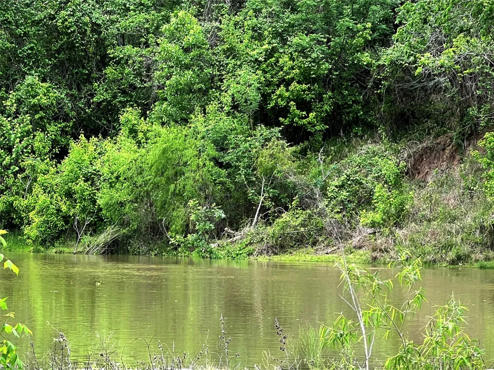 River Valley Drive Wharton, TX 77488
