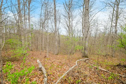 4100 Block of Lower Schooner Road