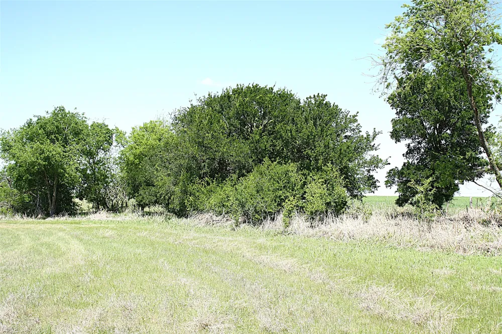 8821 County Road 133 Burlington, TX 76519
