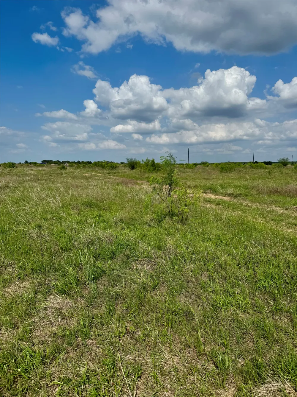 311 CR 473 Thrall, TX 76578