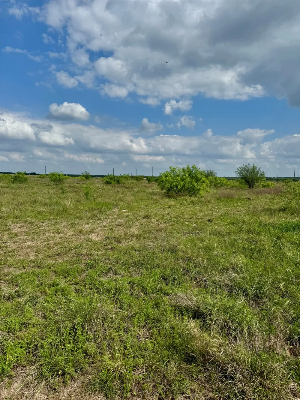 311 CR 473 Thrall, TX 76578