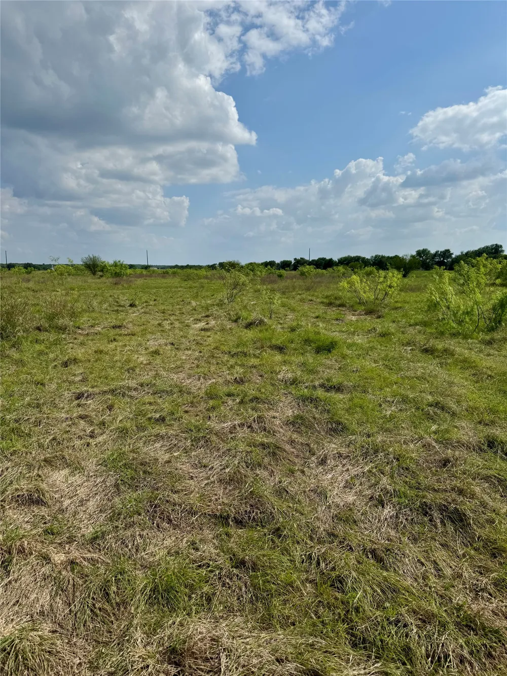 311 CR 473 Thrall, TX 76578