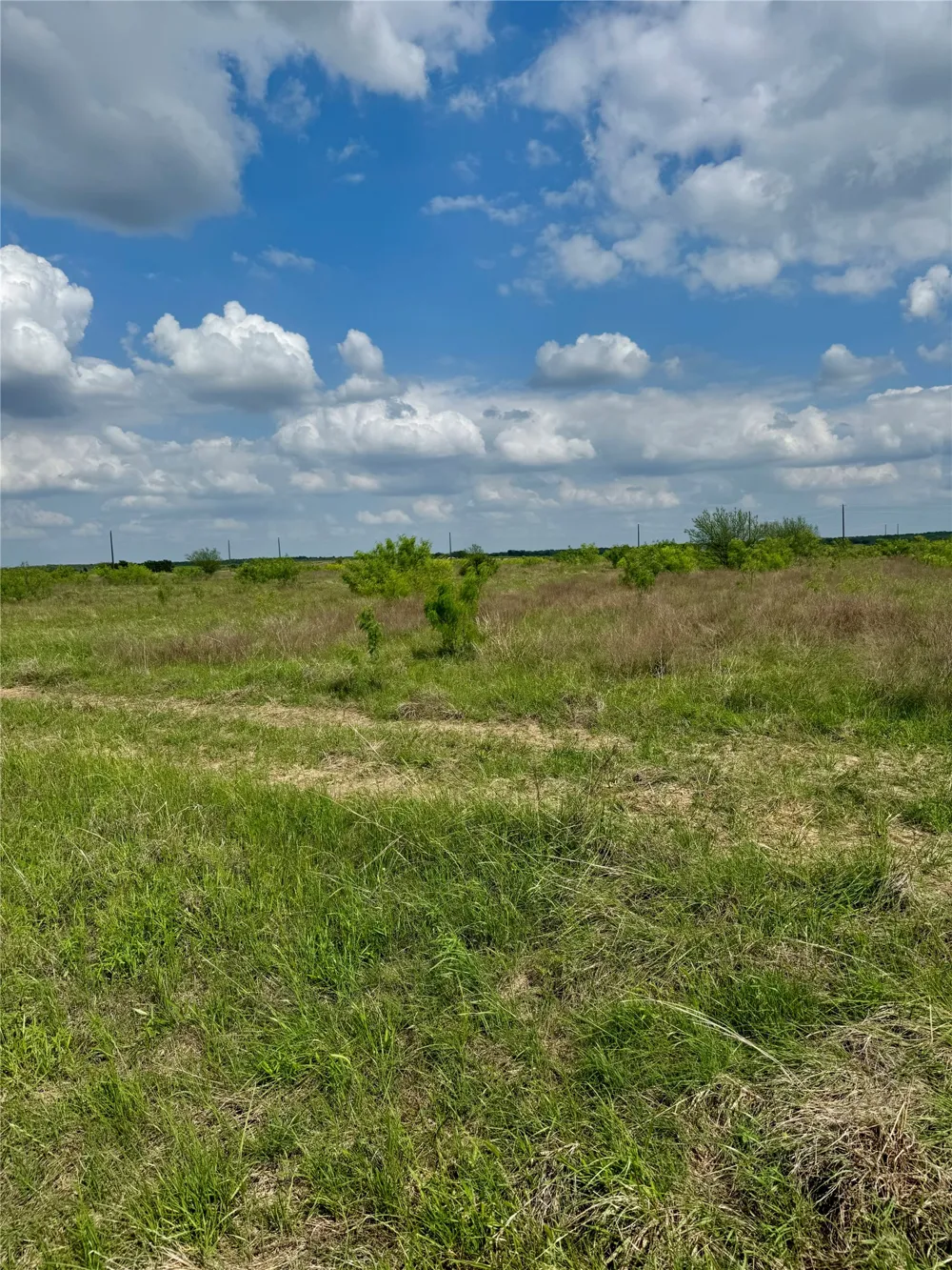 311 CR 473 Thrall, TX 76578