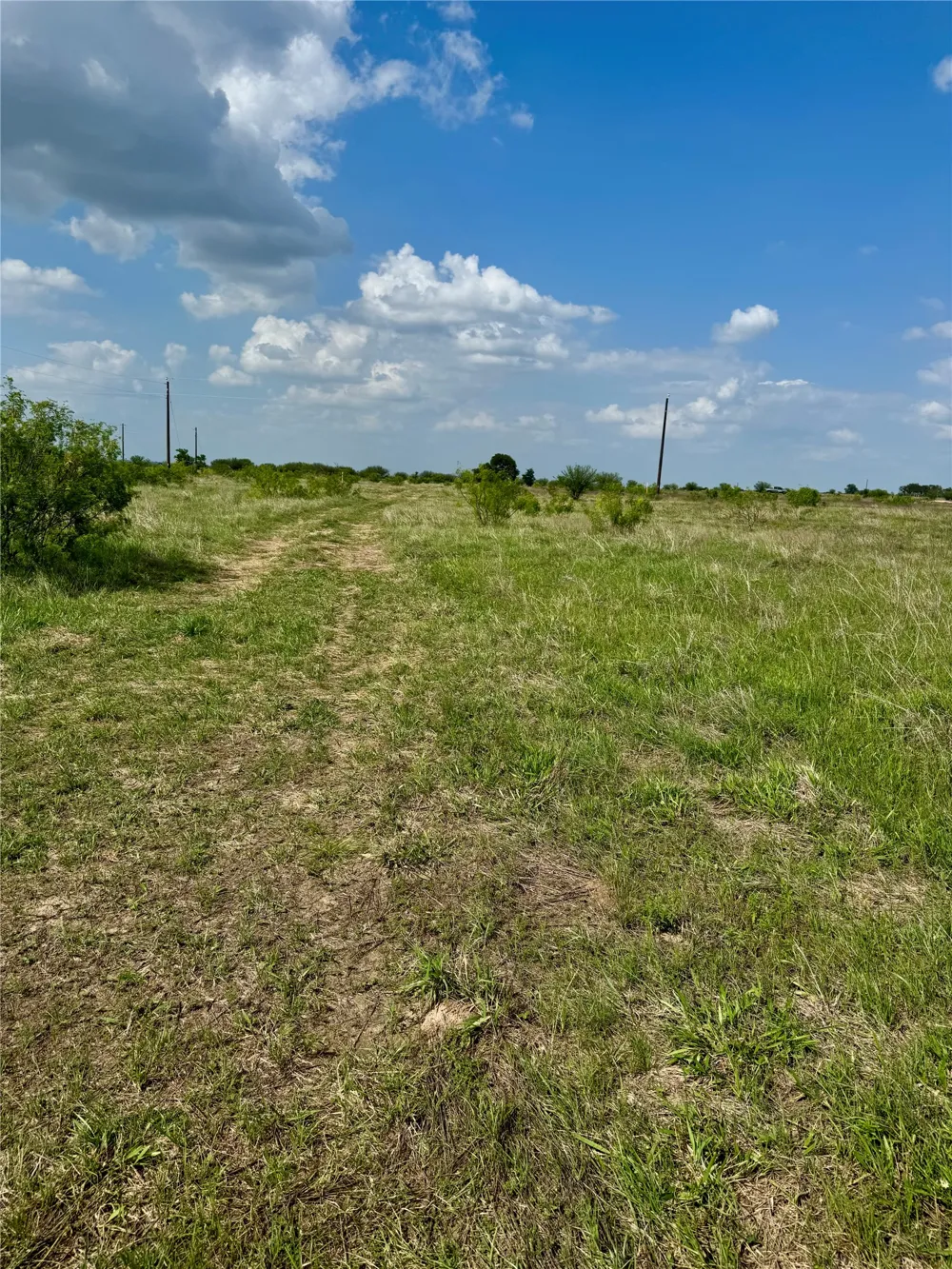 311 CR 473 Thrall, TX 76578