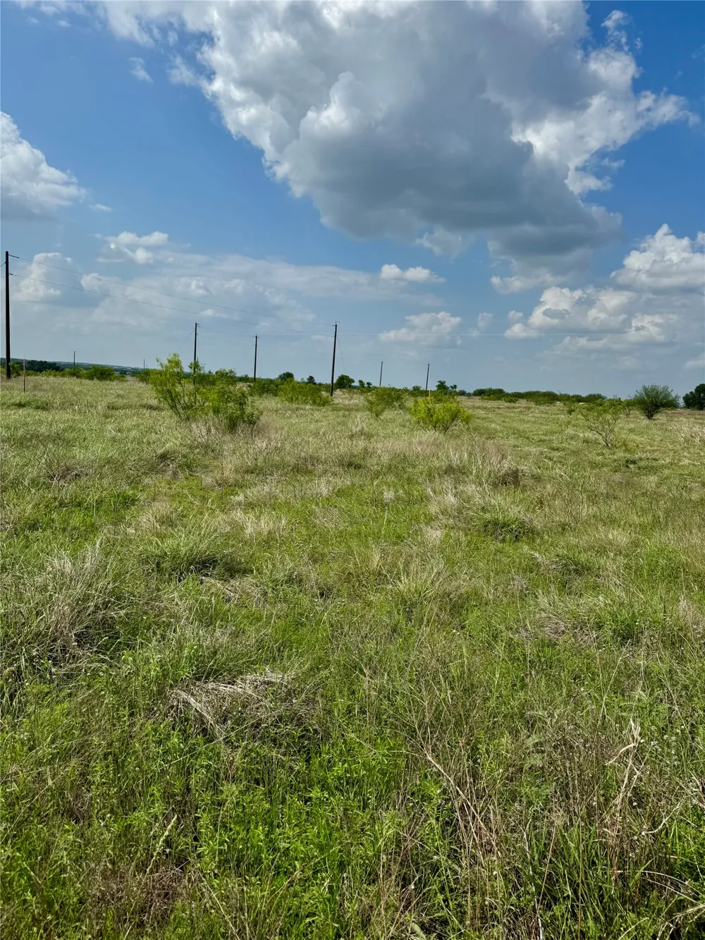 311 CR 473 Thrall, TX 76578
