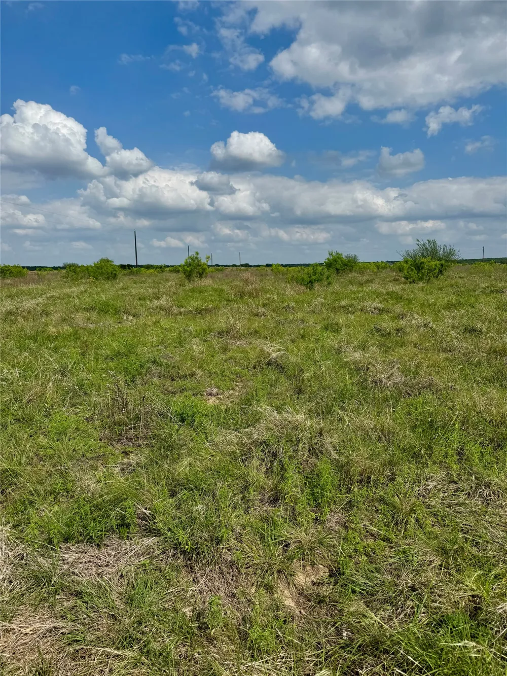 311 CR 473 Thrall, TX 76578