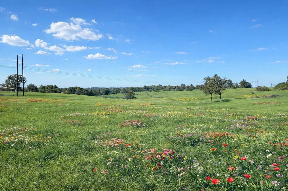 W Cr 315 E Buffalo, TX 75831