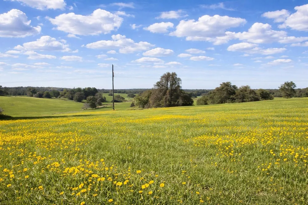 W Cr 315 E Buffalo, TX 75831