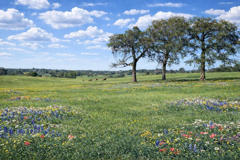 W Cr 315 E Buffalo, TX 75831