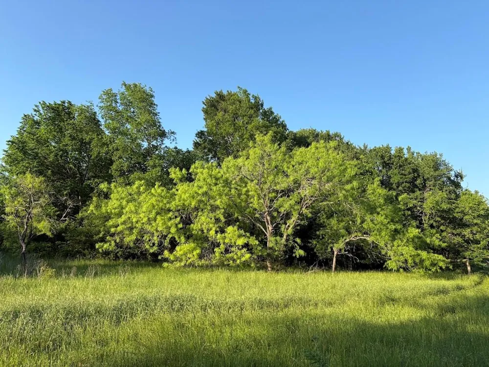 County Road 855 Teague, TX 75860