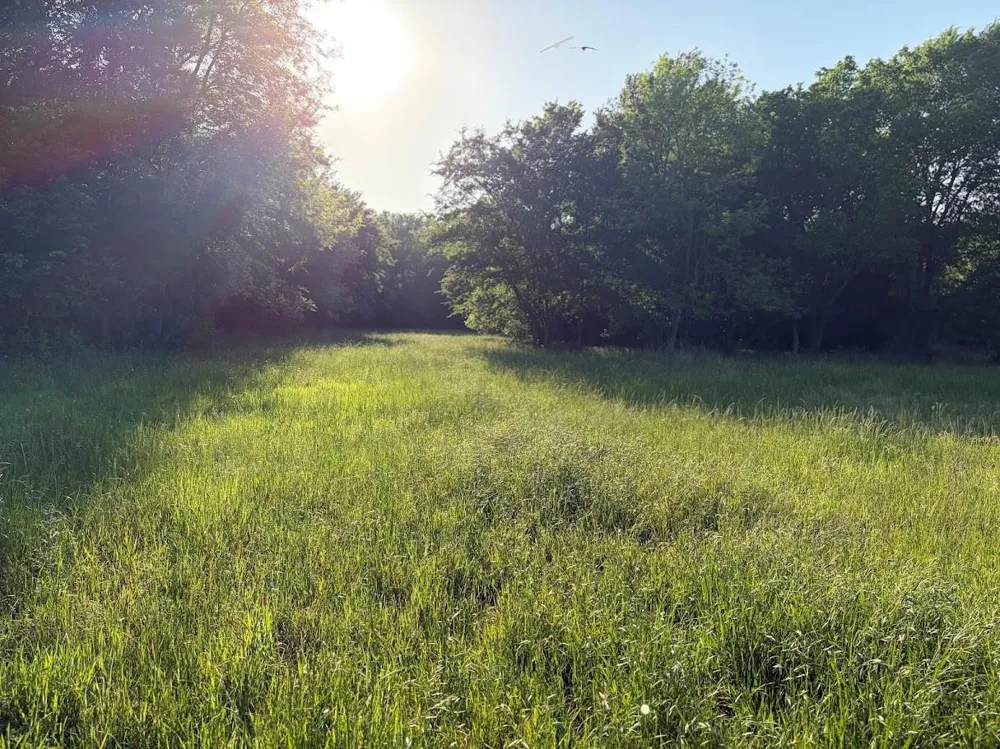 County Road 855 Teague, TX 75860