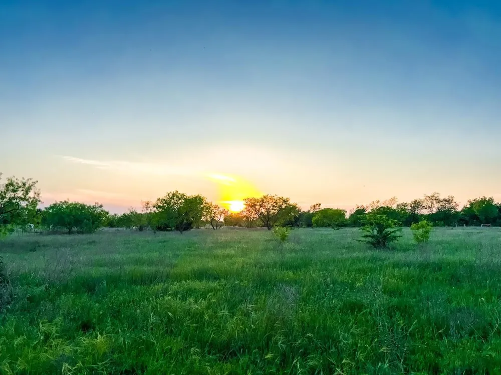 County Road 855 Teague, TX 75860