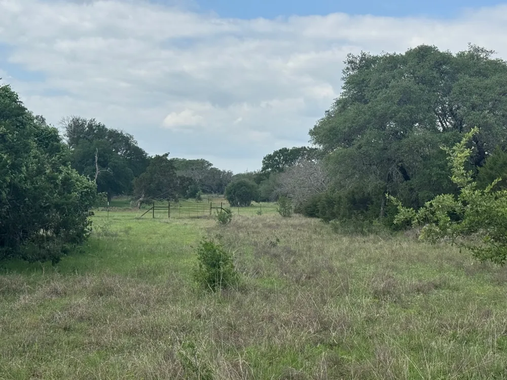 40 Maverick Way Briggs, TX 78608