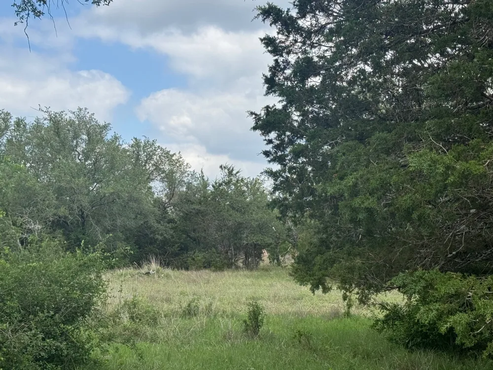 40 Maverick Way Briggs, TX 78608