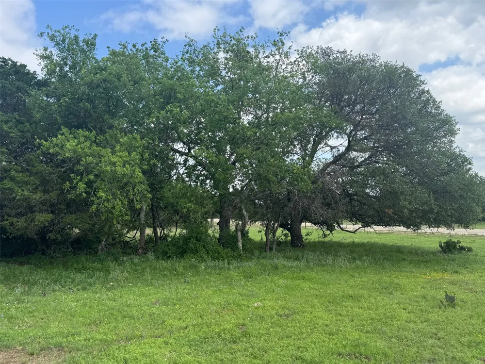 40 Maverick Way Briggs, TX 78608