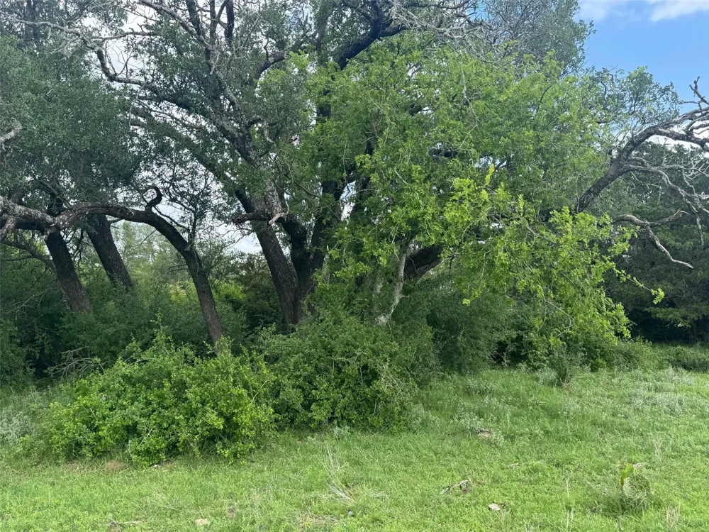 40 Maverick Way Briggs, TX 78608
