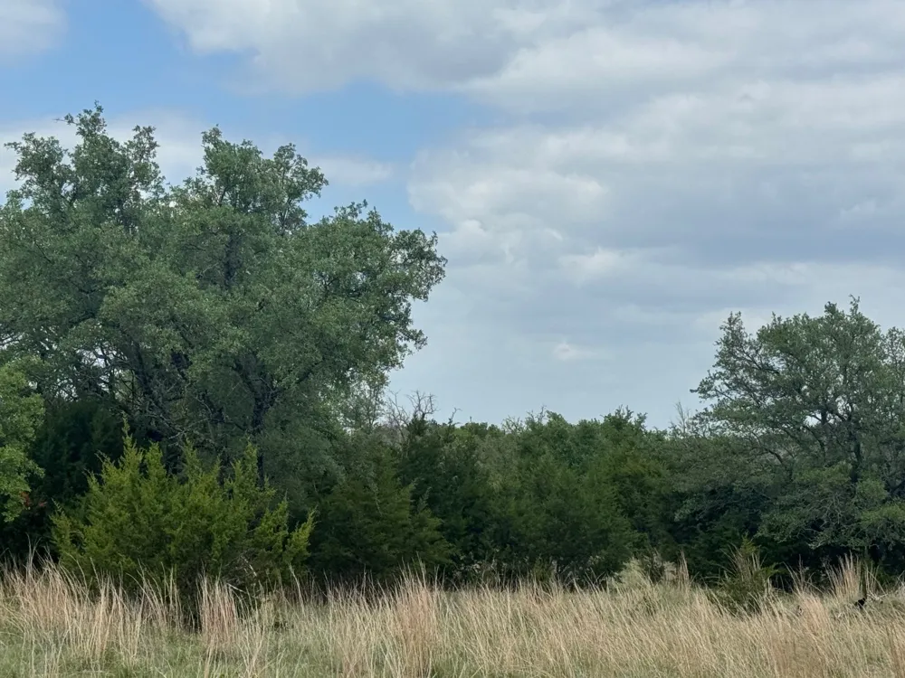 40 Maverick Way Briggs, TX 78608