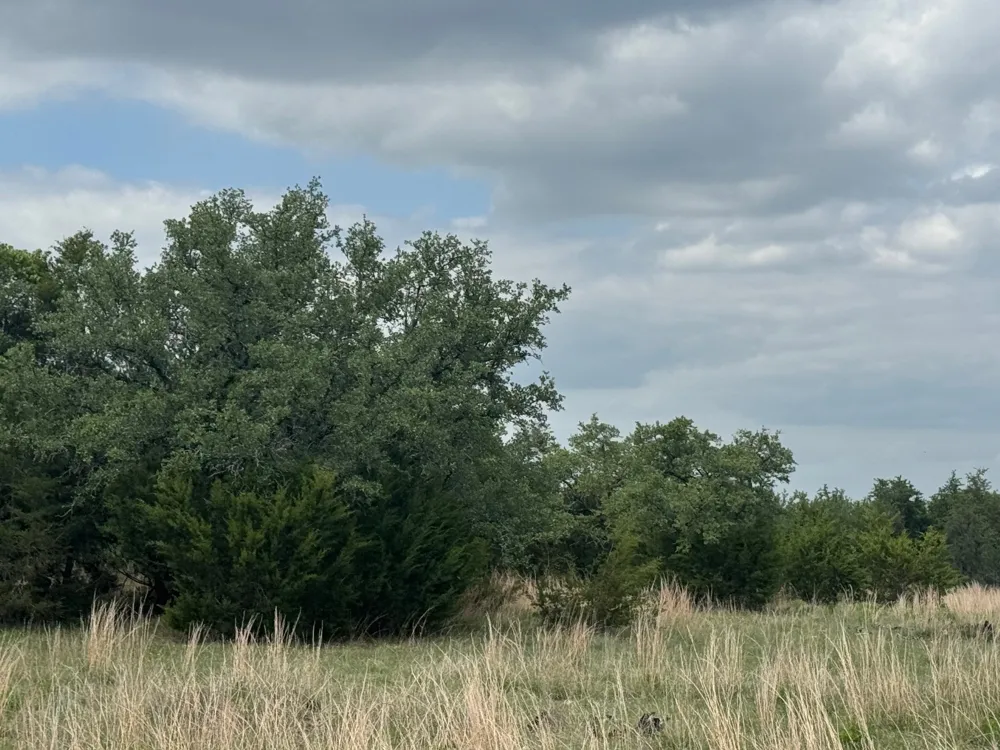 40 Maverick Way Briggs, TX 78608