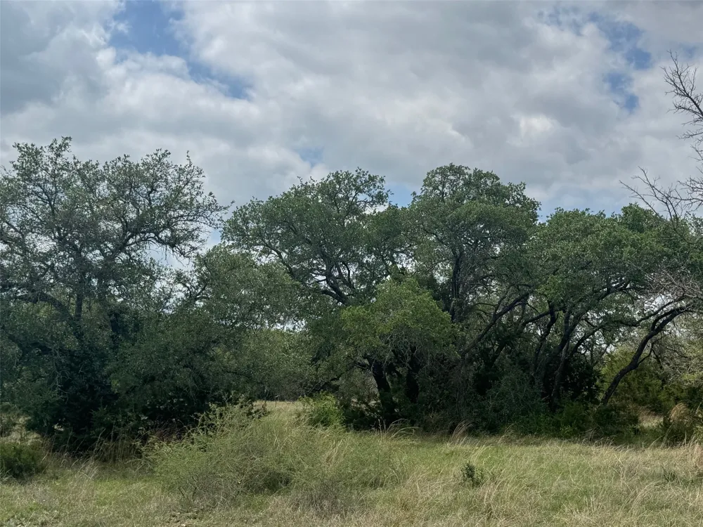 40 Maverick Way Briggs, TX 78608