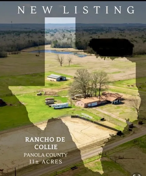 511 County Road 161