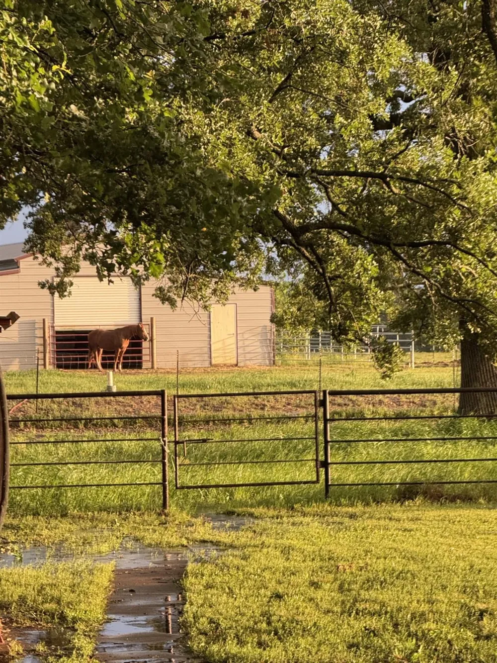 511 County Road 161 Long Branch, TX 75669