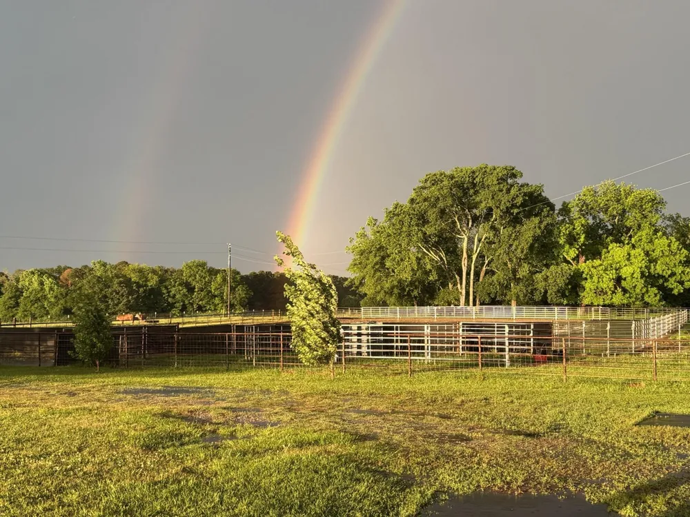 511 County Road 161 Long Branch, TX 75669
