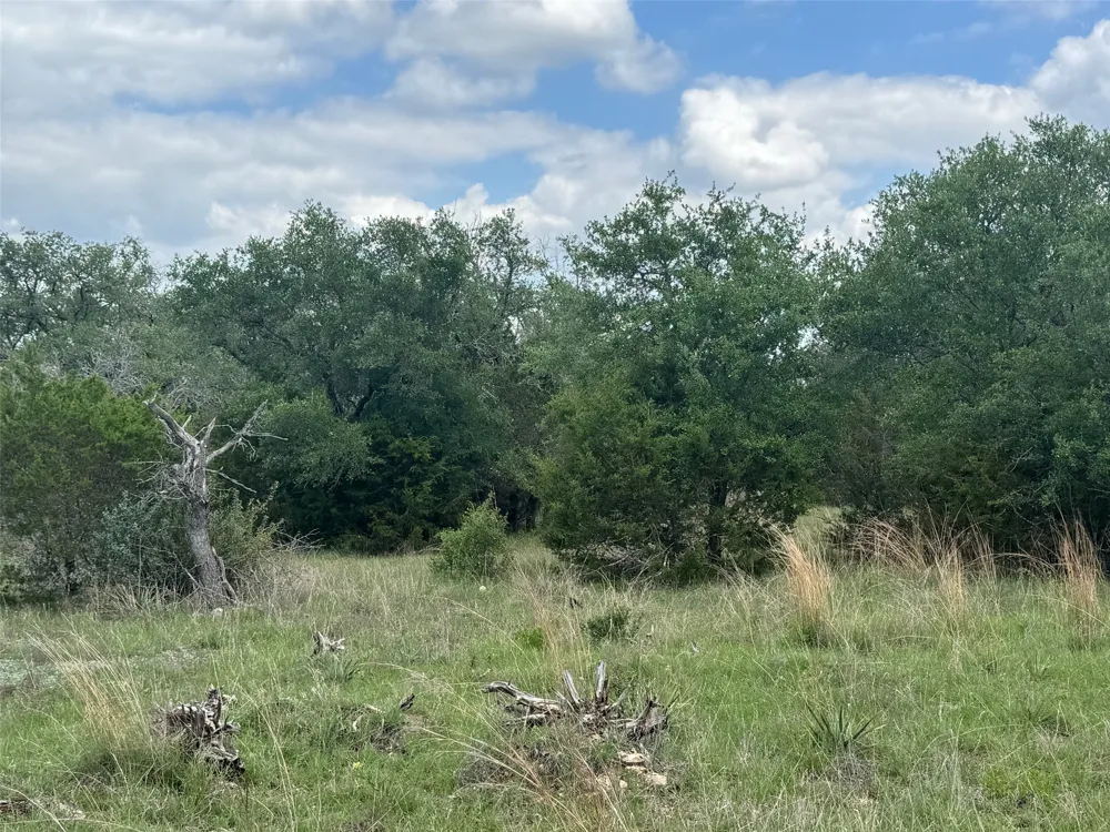 41 Maverick Way Briggs, TX 78608