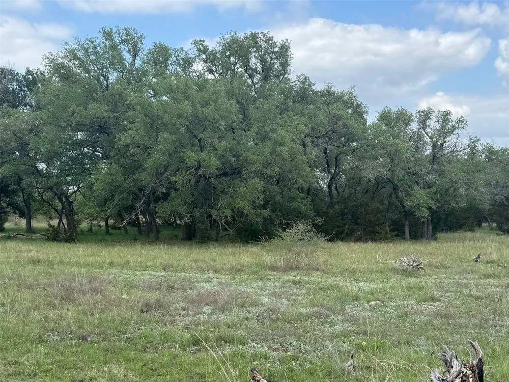 41 Maverick Way Briggs, TX 78608