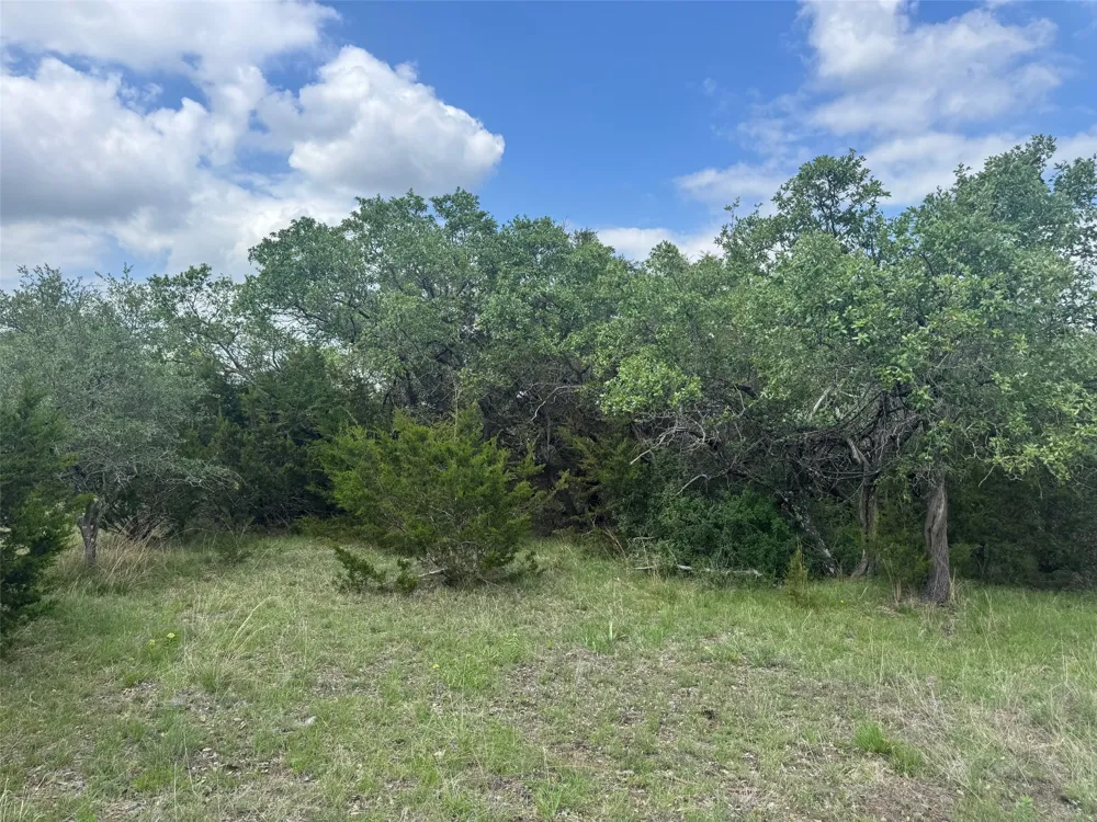 41 Maverick Way Briggs, TX 78608