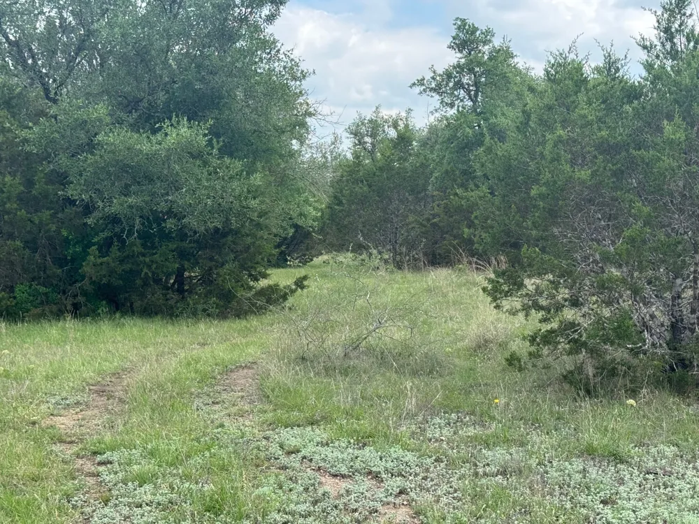 41 Maverick Way Briggs, TX 78608