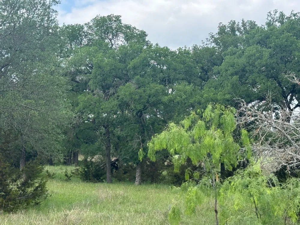41 Maverick Way Briggs, TX 78608