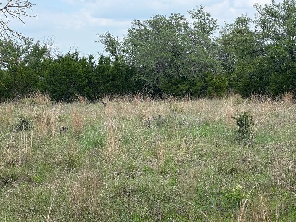 41 Maverick Way Briggs, TX 78608