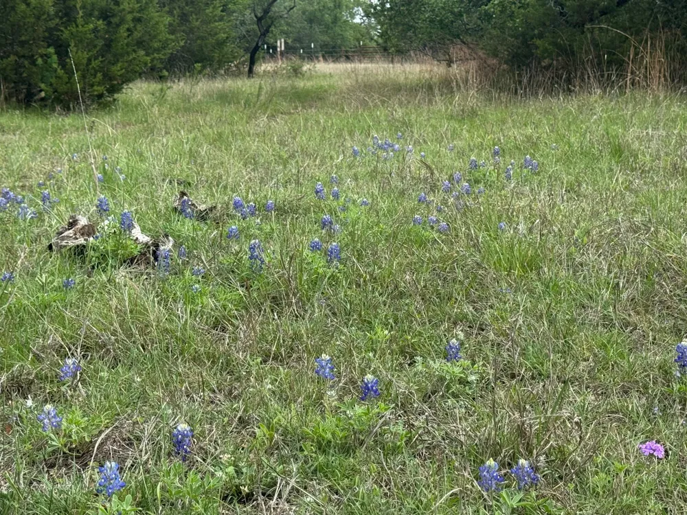 41 Maverick Way Briggs, TX 78608