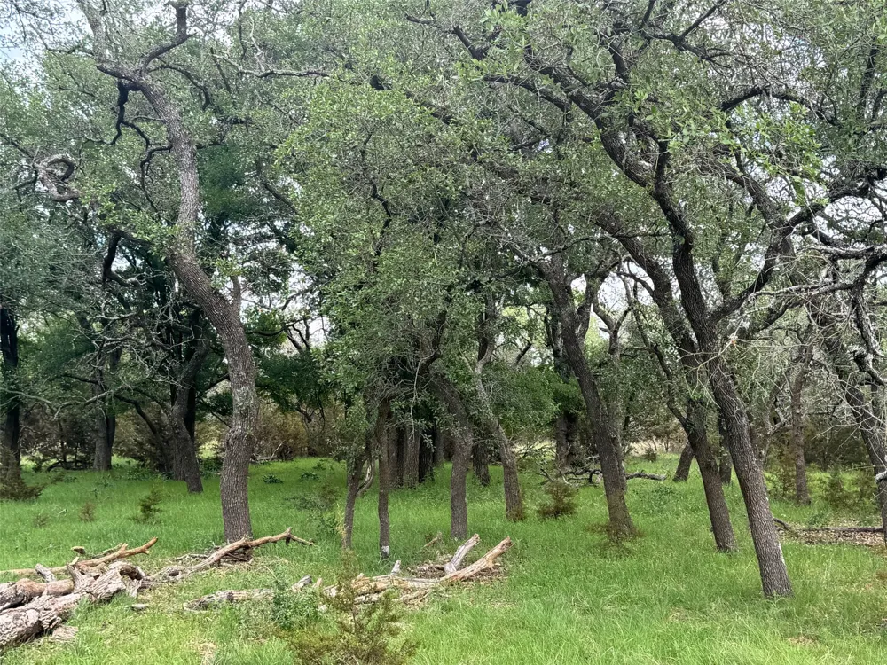 41 Maverick Way Briggs, TX 78608