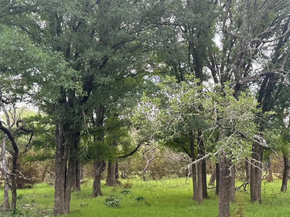 41 Maverick Way Briggs, TX 78608