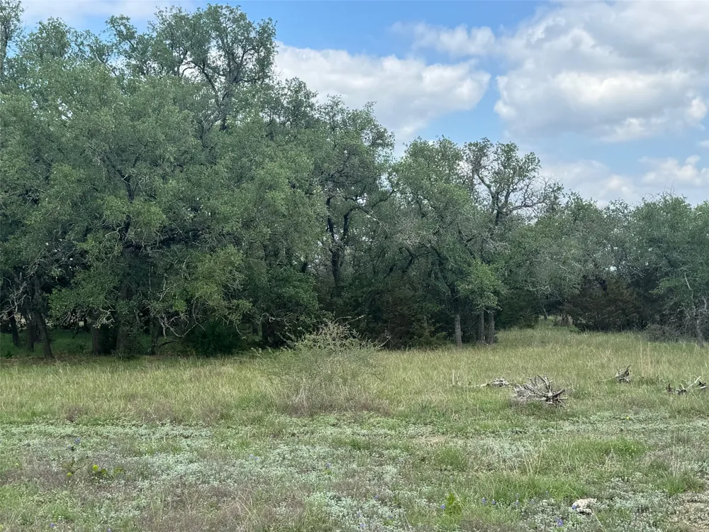 41 Maverick Way Briggs, TX 78608