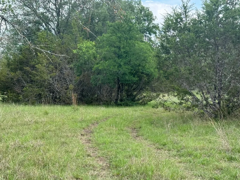 41 Maverick Way Briggs, TX 78608