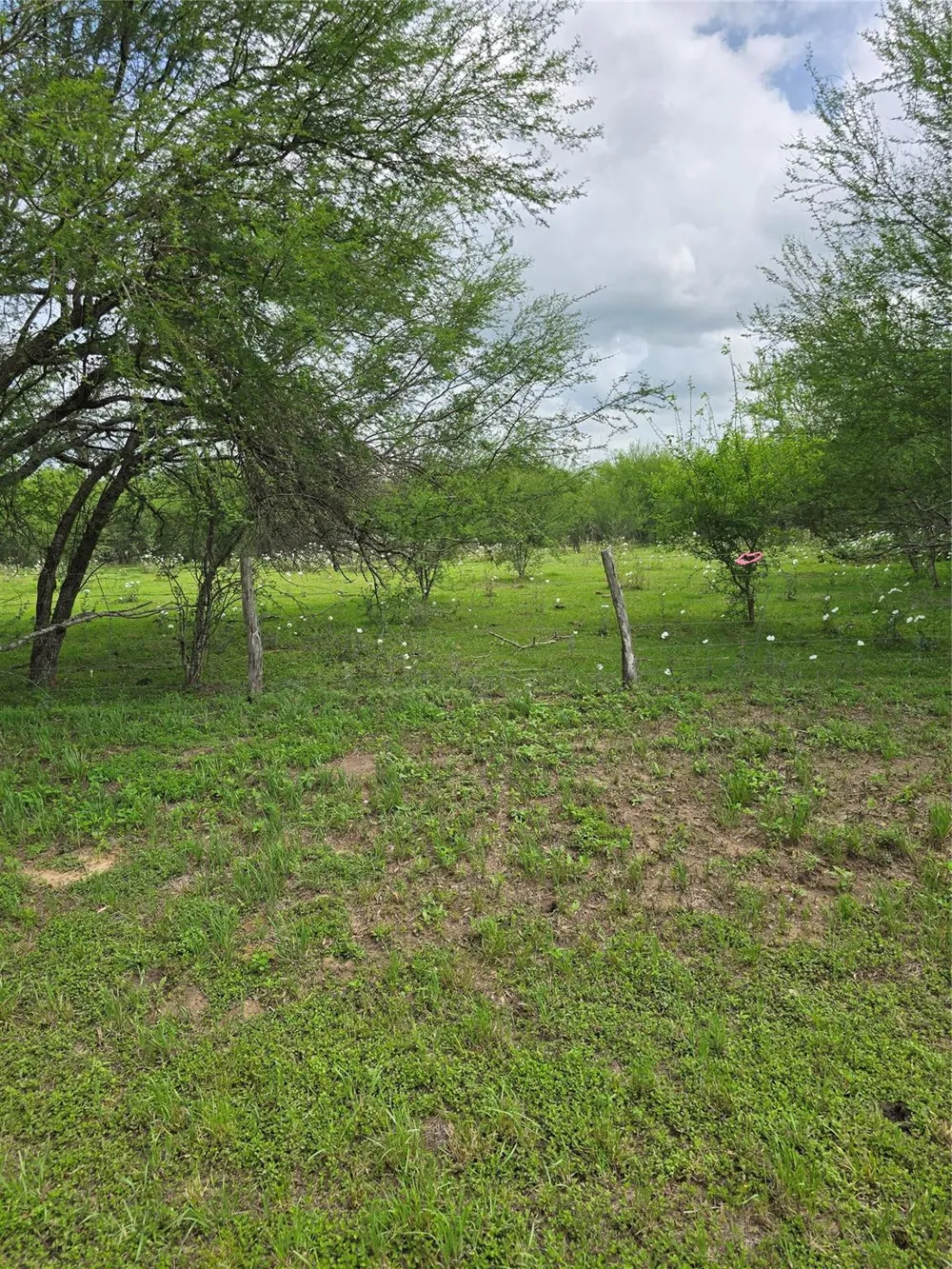 256 Park Rd 38 San Felipe, TX 77474