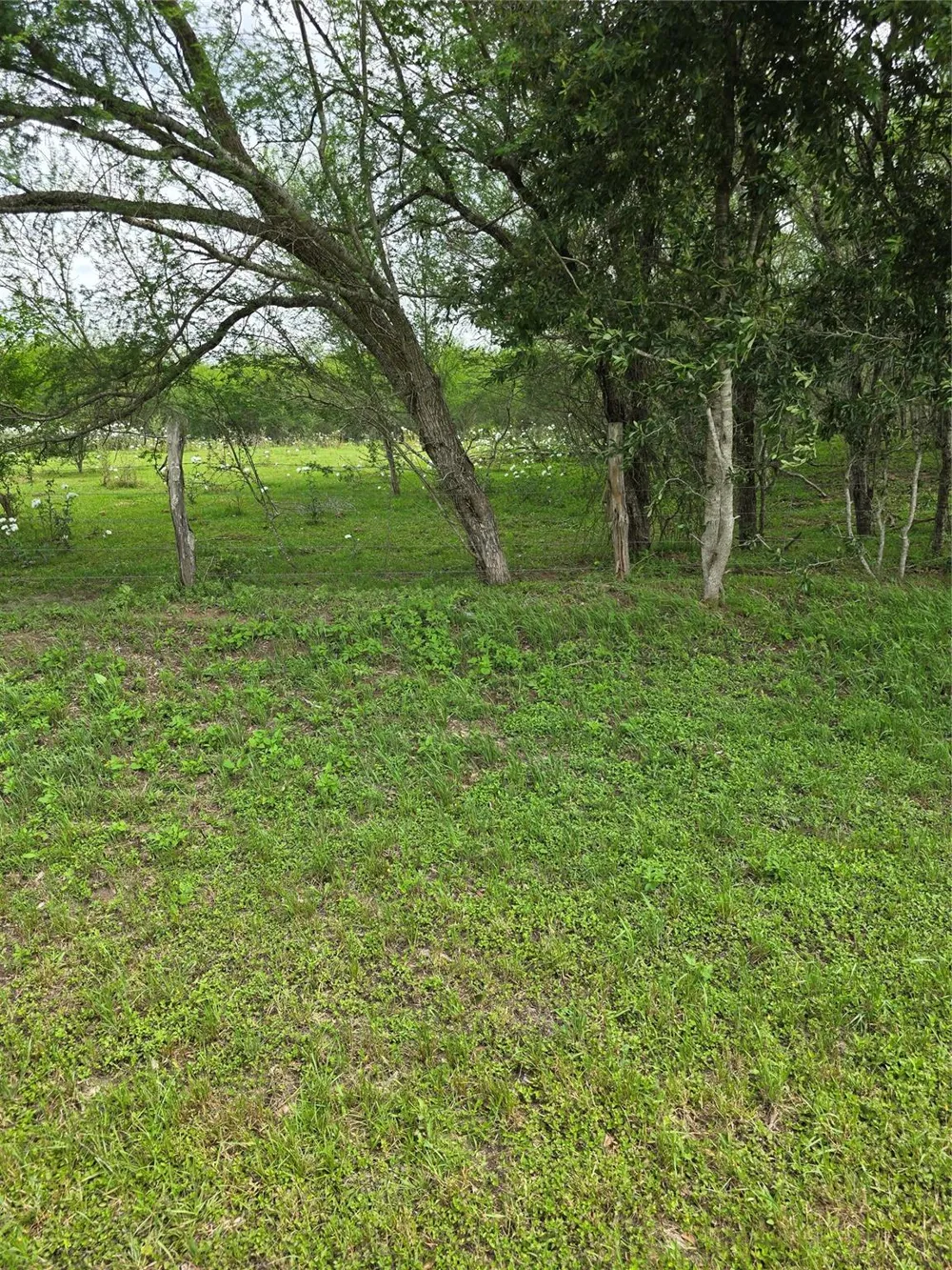256 Park Rd 38 San Felipe, TX 77474