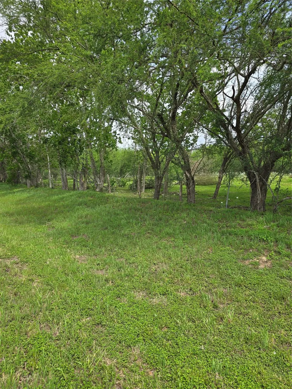 256 Park Rd 38 San Felipe, TX 77474