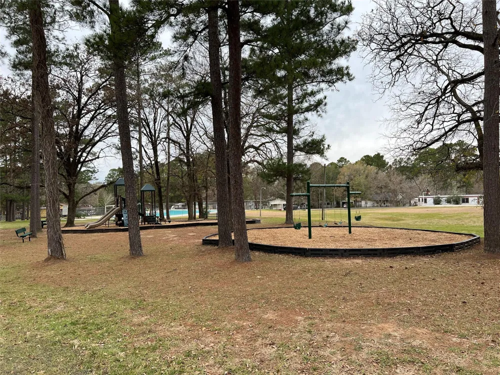 11595 Persimmon Street Willis, TX 77318