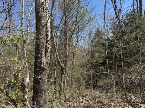 Lot B-21 State Highway 46