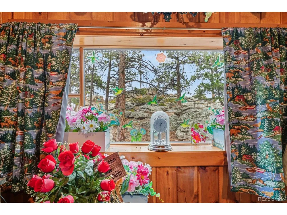 86 Blue Jay Lane Red Feather Lakes, CO 80545