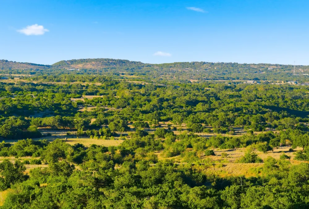 Address Not Shown Dripping Springs, TX 78620