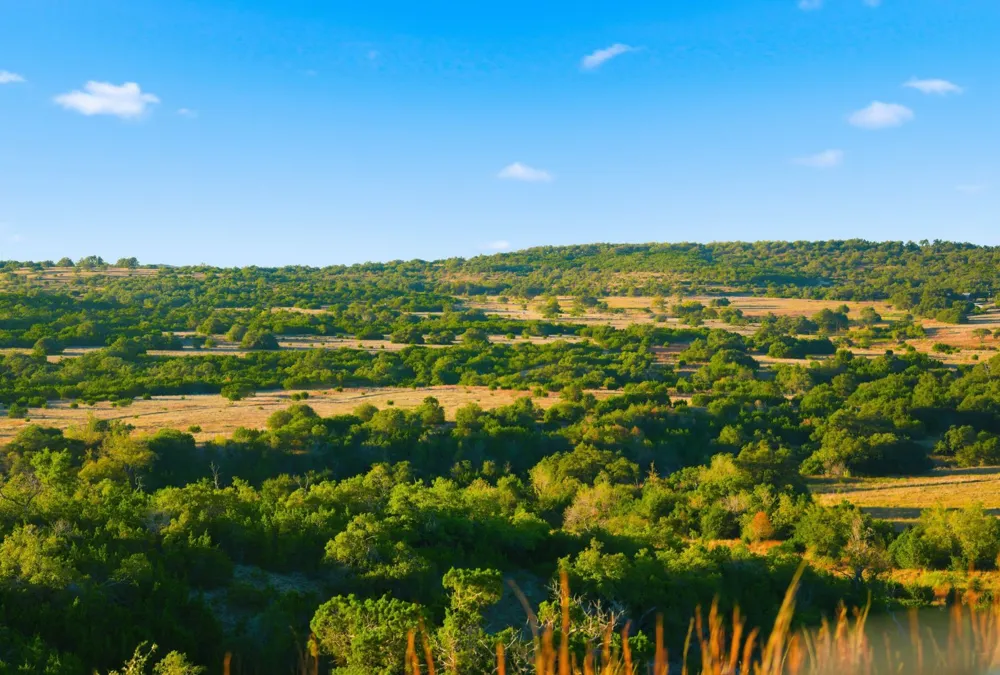 Address Not Shown Dripping Springs, TX 78620