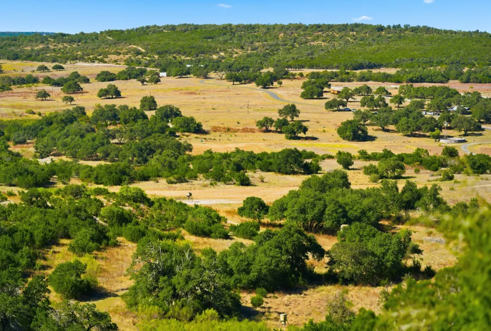 Address Not Shown Dripping Springs, TX 78620
