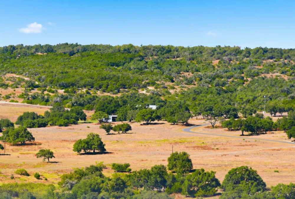 Address Not Shown Dripping Springs, TX 78620