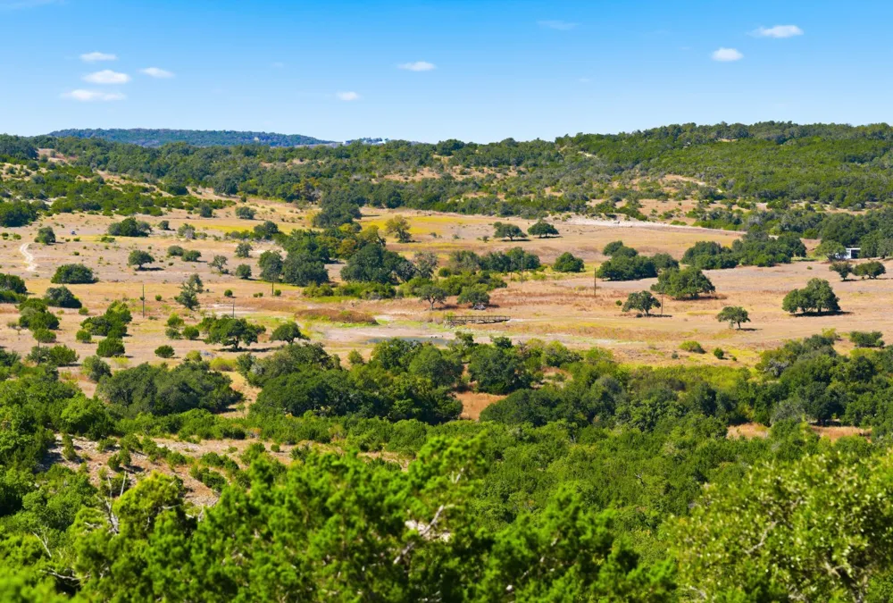 Address Not Shown Dripping Springs, TX 78620