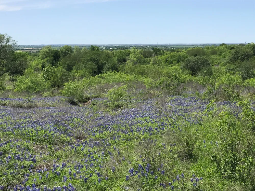 15501 Goforth Road Buda, TX 78610